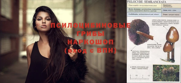 МДПВ Осташков