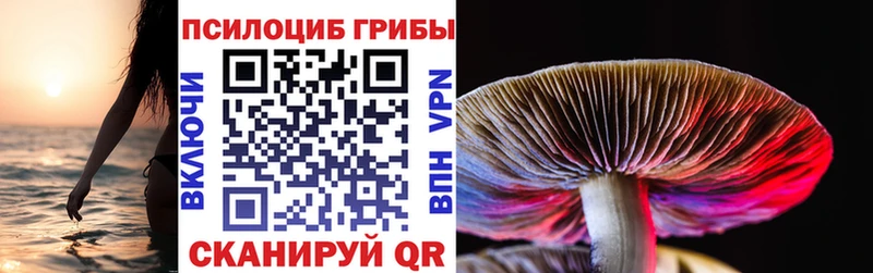 купить наркотик  Свободный  KRAKEN зеркало  Галлюциногенные грибы MAGIC MUSHROOMS 